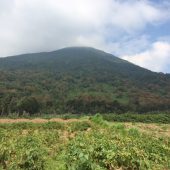  On the way to Volcanoes National Park in Rwanda